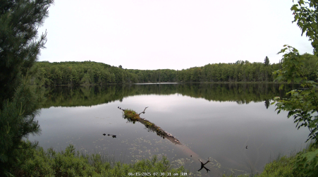 Image from 2025-06-15