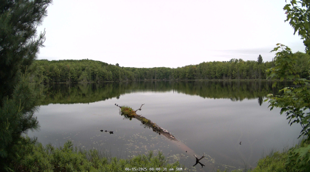 Image from 2025-06-15