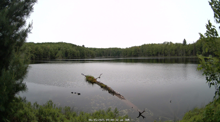 Image from 2025-06-15