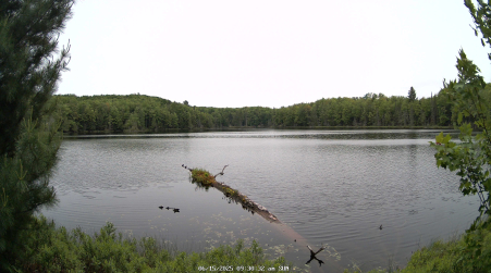 Image from 2025-06-15