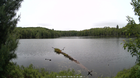 Image from 2025-06-15