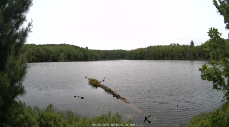 Image from 2025-06-15