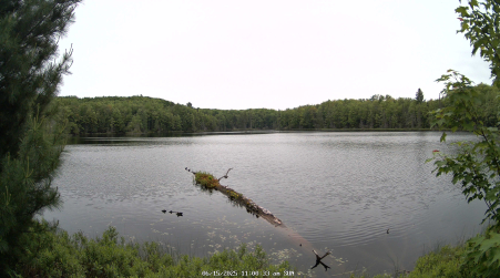 Image from 2025-06-15