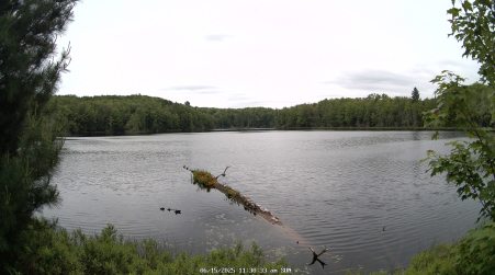 Image from 2025-06-15