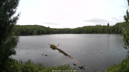 Image from 2025-06-15