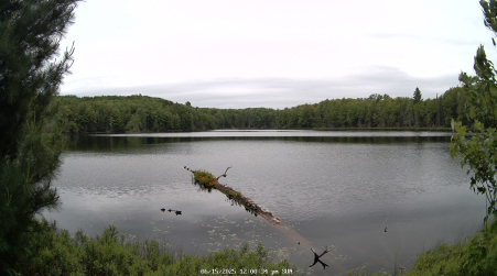 Image from 2025-06-15