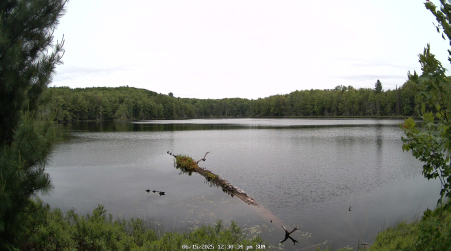 Image from 2025-06-15