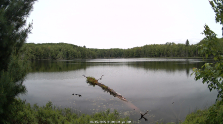 Image from 2025-06-15
