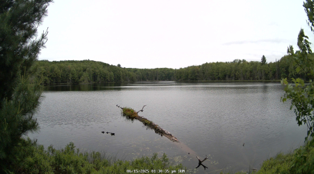 Image from 2025-06-15