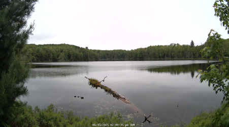 Image from 2025-06-15