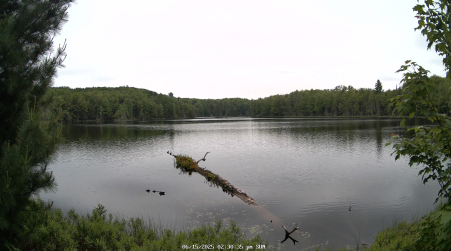 Image from 2025-06-15