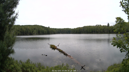 Image from 2025-06-15