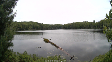 Image from 2025-06-15