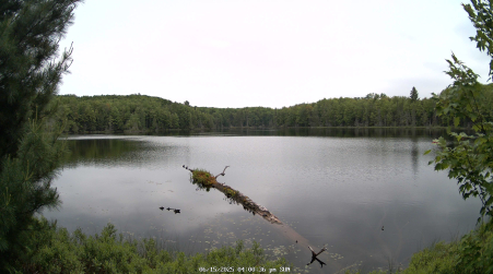Image from 2025-06-15
