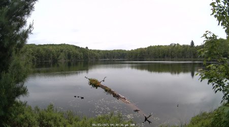 Image from 2025-06-15