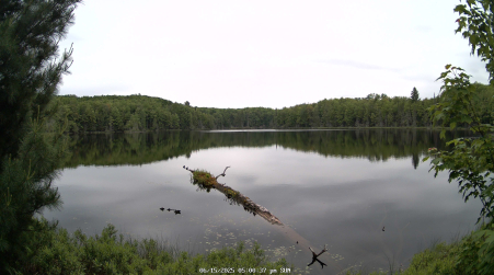 Image from 2025-06-15