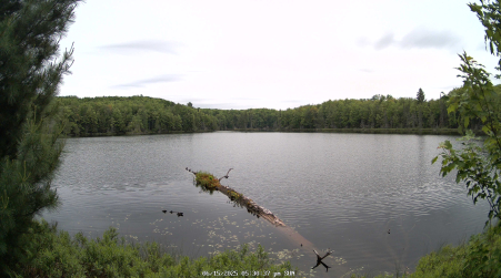 Image from 2025-06-15