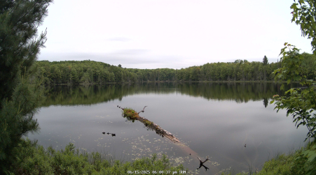 Image from 2025-06-15