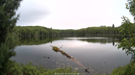 Image from 2025-06-15