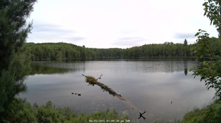 Image from 2025-06-15