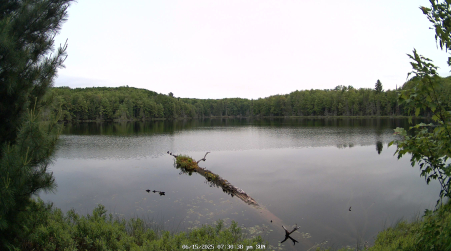 Image from 2025-06-15