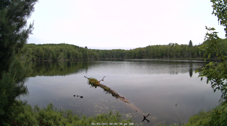 Image from 2025-06-15