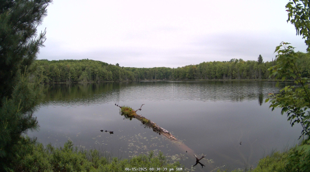 Image from 2025-06-15