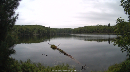 Image from 2025-06-15