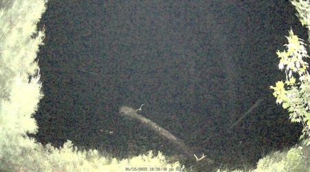 Image from 2025-06-15
