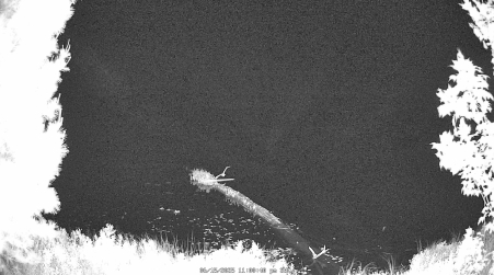Image from 2025-06-15