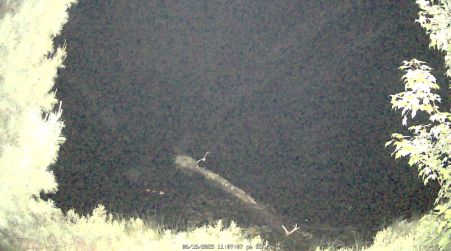Image from 2025-06-15