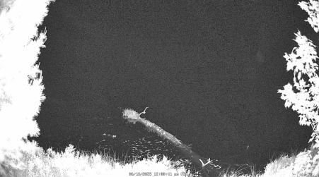 Image from 2025-06-16