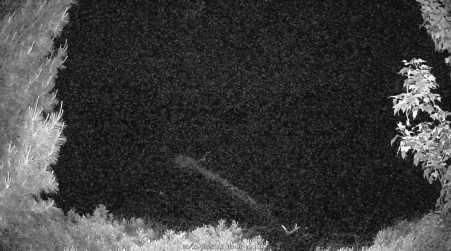 Image from 2025-06-16