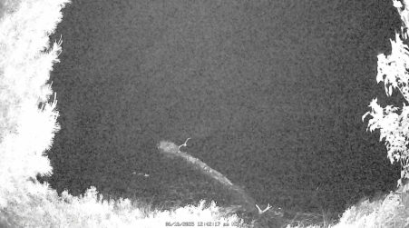 Image from 2025-06-16