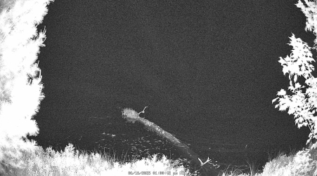 Image from 2025-06-16