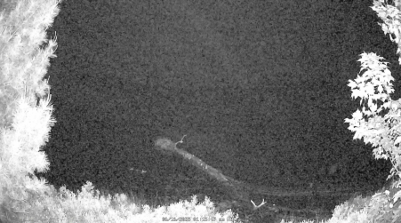 Image from 2025-06-16