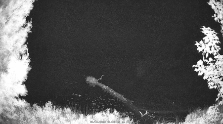 Image from 2025-06-16