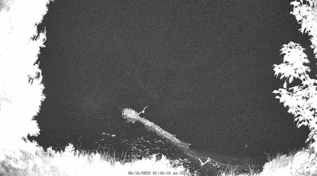 Image from 2025-06-16