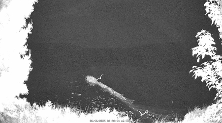Image from 2025-06-16
