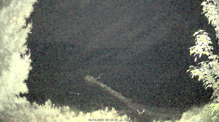 Image from 2025-06-16