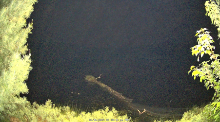 Image from 2025-06-16