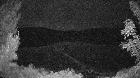 Image from 2025-06-16