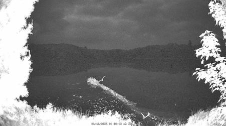 Image from 2025-06-16