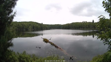 Image from 2025-06-16