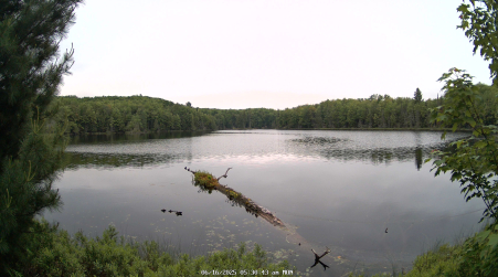 Image from 2025-06-16