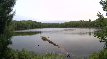 Image from 2025-06-16