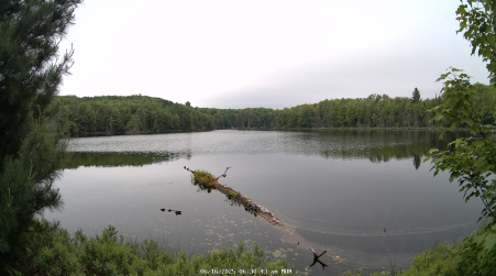 Image from 2025-06-16