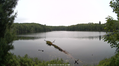Image from 2025-06-16