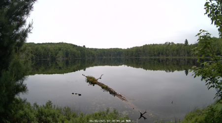 Image from 2025-06-16