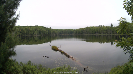 Image from 2025-06-16